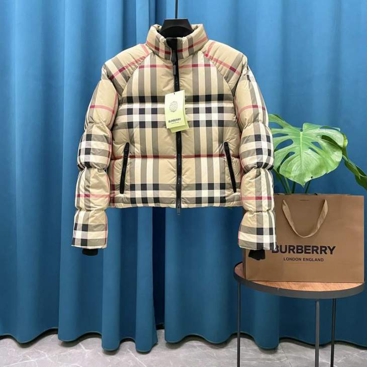 Picture of Burberry Down Jackets _SKUBurberryS-2XLxetr10537962